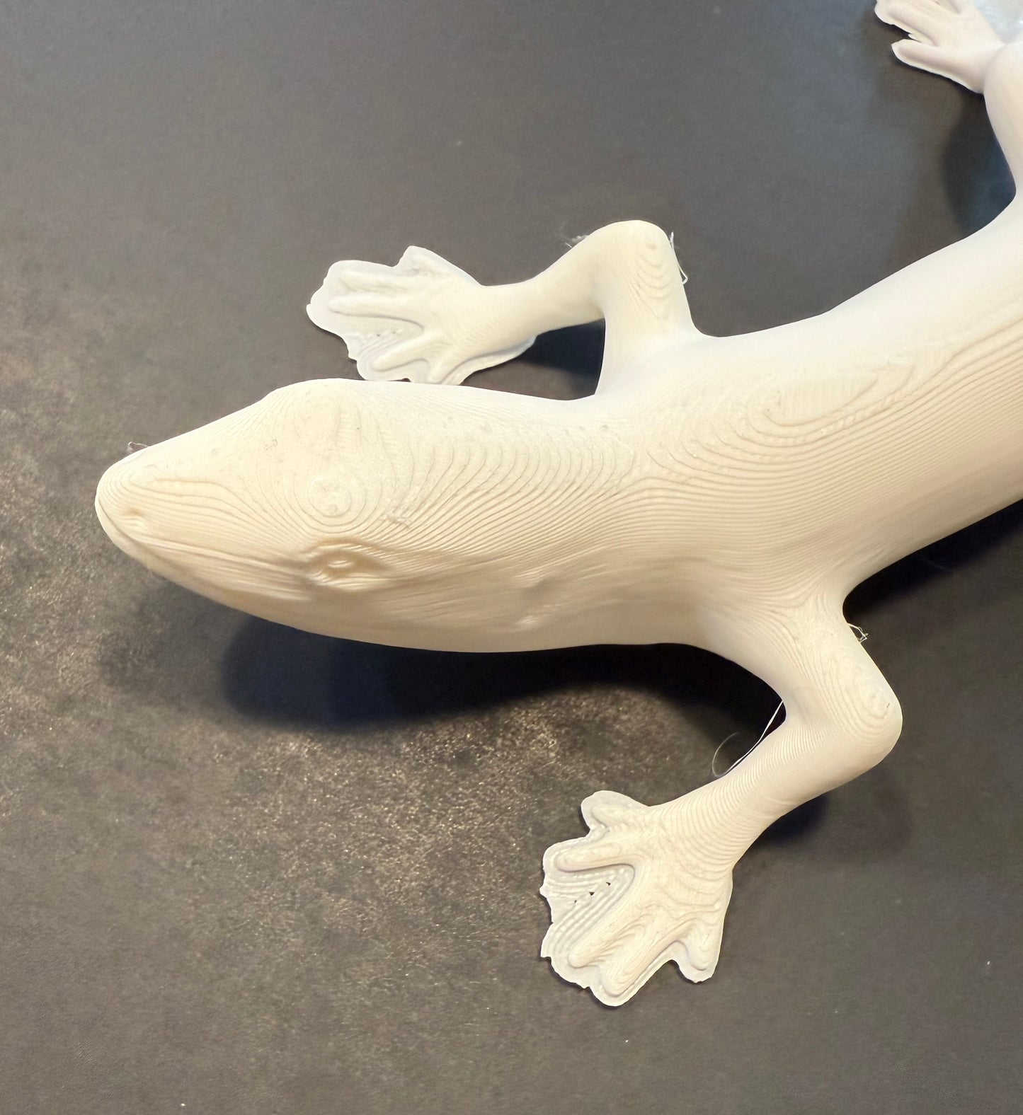 Lazarus Lizard 3D printed replica realistic animal
