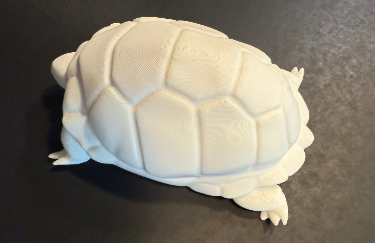 Galapagos tortoise 3D printed replica realistic animal
