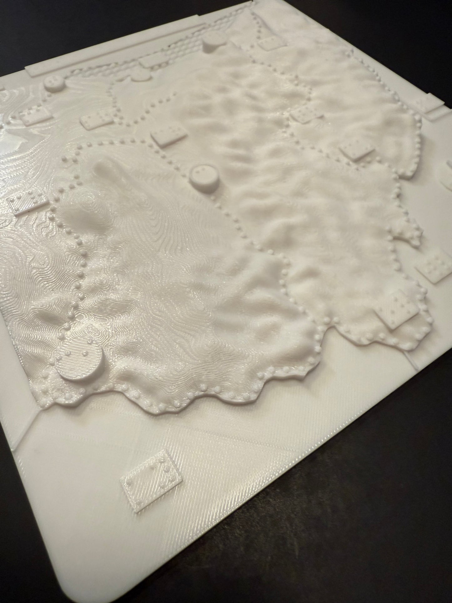 Ohio maps, braille, 3D printed